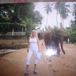 Аватара пользователя